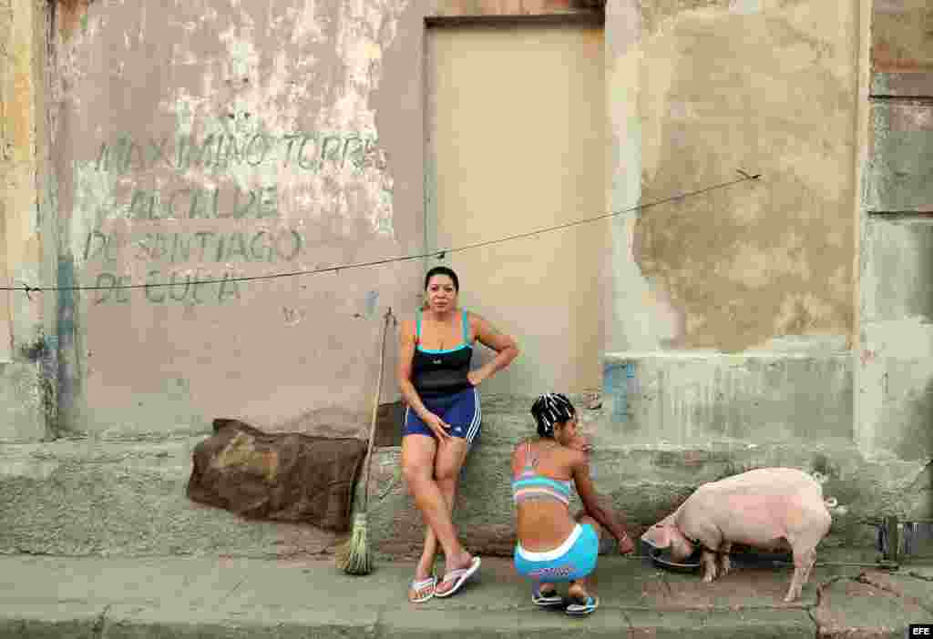 Dos mujeres dan de beber a un cerdo en Santiago de Cuba.