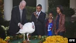 El presidente de Estados Unidos, Barack Obama (2-i), sus hijas, Sasha (2-d) y Malia (d), y el presidente de la Federación Nacional de Pavos, Steve Wilardsen (i), indultan al pavo Cobbler, para seguir con la tradición del Día de Acción de Gracias. 