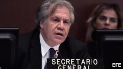 El secretario general de la OEA, Luis Almagro, recibió un informe denunciando casos de tortura dentro de Venezuela. De los 106 casos documentados en el estudio, 11 supuestamente fueron perpetrados por gente con un acento cubano