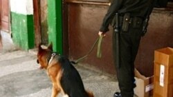 Arrestados comunicadores comunitarios
