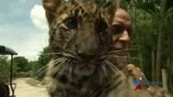 Un matrimonio cubano funda un peculiar zoológico en la Florida