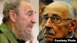 Castro y Videla, no tan extraños compañeros de cama