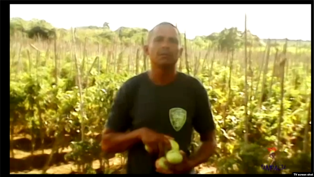 Erlán Driggs Batista, horticultor. (Fotograma de un reportaje de UNPACU).