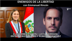 ENEMIGOS DE LA LIBERTAD: Adriana Tudela: "Perú tendrá mayor estabilidad política con Keiko Fujimori"