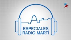 Programa especial por Thanksgiving 