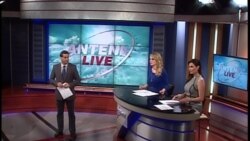 Antena Live