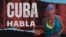 Banner 496
