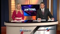 Antena Live
