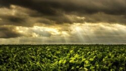 Hoy con Luis Rodríguez, Vladimir Ríos, Adriano Castañeda, Jiordan Marrero y Juan Carlos Góméz 