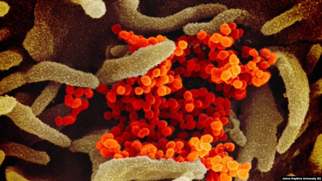 Imagen del coronavirus.