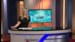 Antena Live