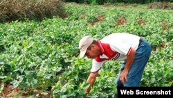 Agroturismo en la provincia de Las Tunas