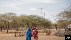 Mujeres caminando a la aldea de Wagalla, en el norte de Kenya, el 19 de agosto de 2022. (AP Photo/Brian Inganga).