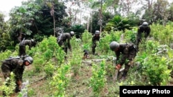 EE.UU. condicionó la entrega de una partida de su asistencia 2018 a Colombia a la reducción de los cultivos de coca