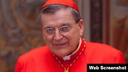 Cardenal Raymond Burke