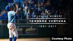 En memoria de Yordano Ventura, un tributo de los Reales de Kansas.