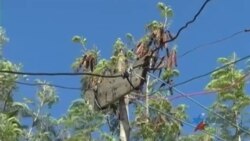 Conexiones clandestinas de electricidad en Cuba