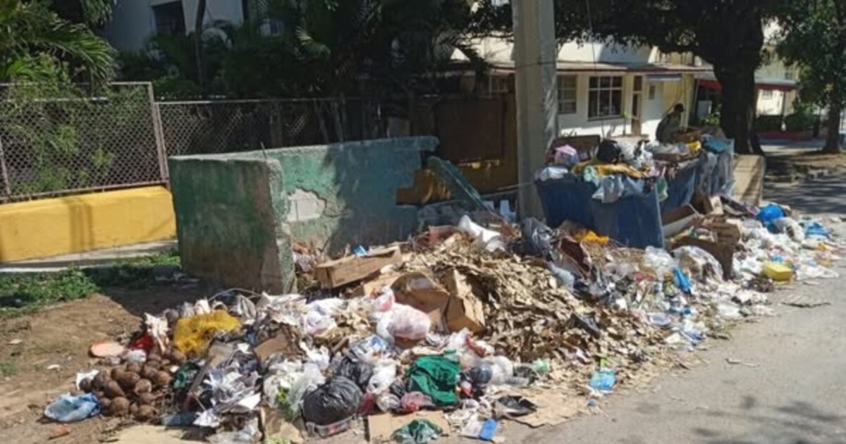 Vecinos del Vedado denuncian insalubridad por basura acumulada y ...