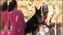 Mercadeo de mascotas en Cuba