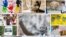 Fotografias de Nelson Mandela en un muro en las afueras del centro donde se encuentra hospitalizado. 
