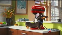 Filme “La Vida Secreta de las Mascotas" recauda $103 millones de dólares en EEUU