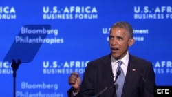 Cumbre de líderes africanos en EEUU