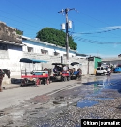 Foto tomada el 13 de agosto en las piqueras de Santa Clara. Foto Yoel Espinosa.