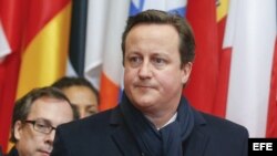 primer ministro británico, David Cameron, reunión del Consejo Europeo celebrada en Bruselas, Bélgica, hoy, viernes 8 de febrero de 2013. La cumbre extraordinaria de Bruselas, en la que los líderes comunitarios intentan cerrar un acuerdo sobre el presupues