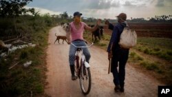 La paralización del transporte ha dejado aisladas a las comunidades rurales en Cuba. (AP /Ramón Espinosa)