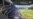 MLB: Texas Rangers vs Miami Marlins