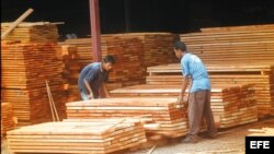 Nicaragua exporta maderas a Cuba.