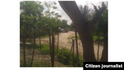 Reporta Cuba vigilancia @luislazaroguanch