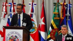 OEA solicita al Gobierno cubano protección para prisionera política