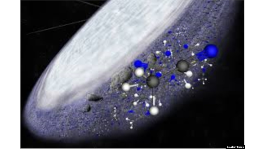 Las moléculas tienen como base el carbono.