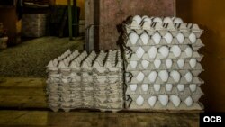 Cartones con huevos en una bodega cubana. (Archivo)