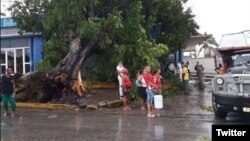 Árboles caídos y cortes del servicio de agua potable y electricidad, algunas de las afectaciones por Laura en Santiago de Cuba. 