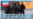 BANNER DOS PERNALETE