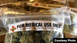Las urnas desmintieron a las encuestas que pronosticaron la aprobación del uso medicinal de la marihuana en Florida