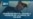 Bannr Noti 7-17-26
