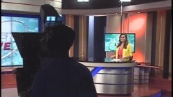 Antena Live