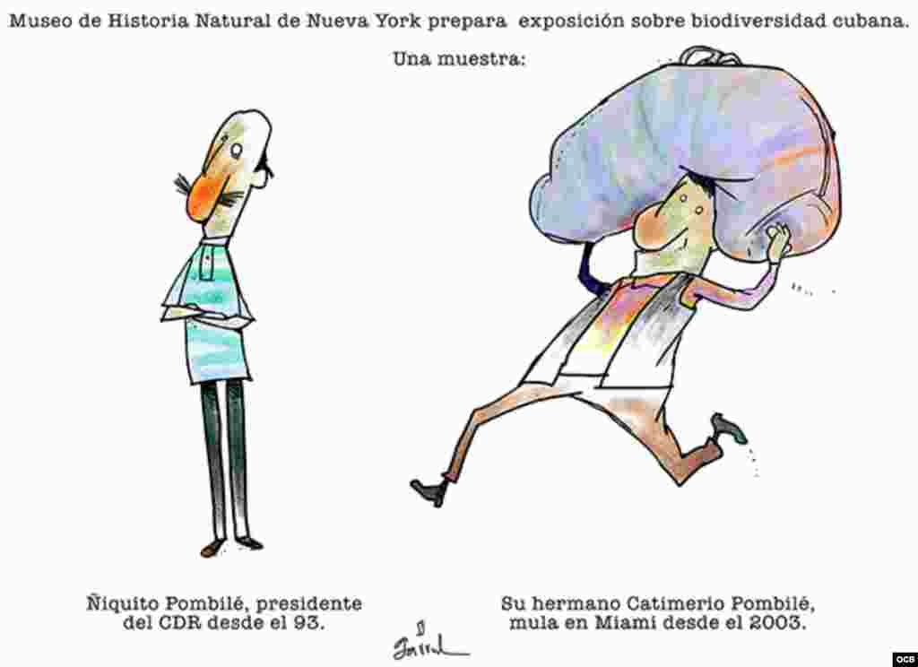 Caricaturas de Garrincha 