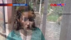 Maltrato animal en Cuba