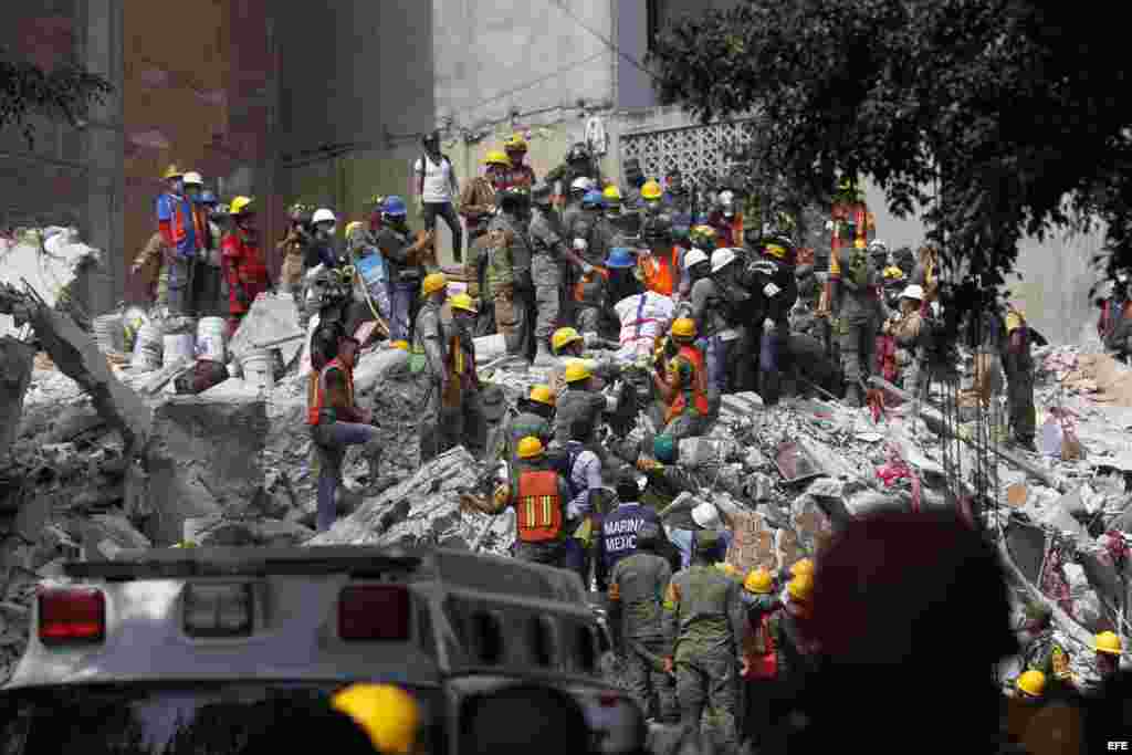 Brigadistas y voluntarios trabajan entre los escombros de los edificios colapsados durante el sismo en Ciuda de México. 