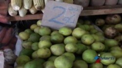 Limón a precio de oro en Cuba