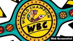 Consejo Mundial de Boxeo (CMB).