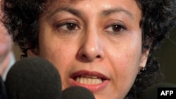 Irene Khan, Relatora Especial de la ONU