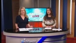 Antena Live