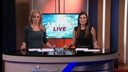Antena Live