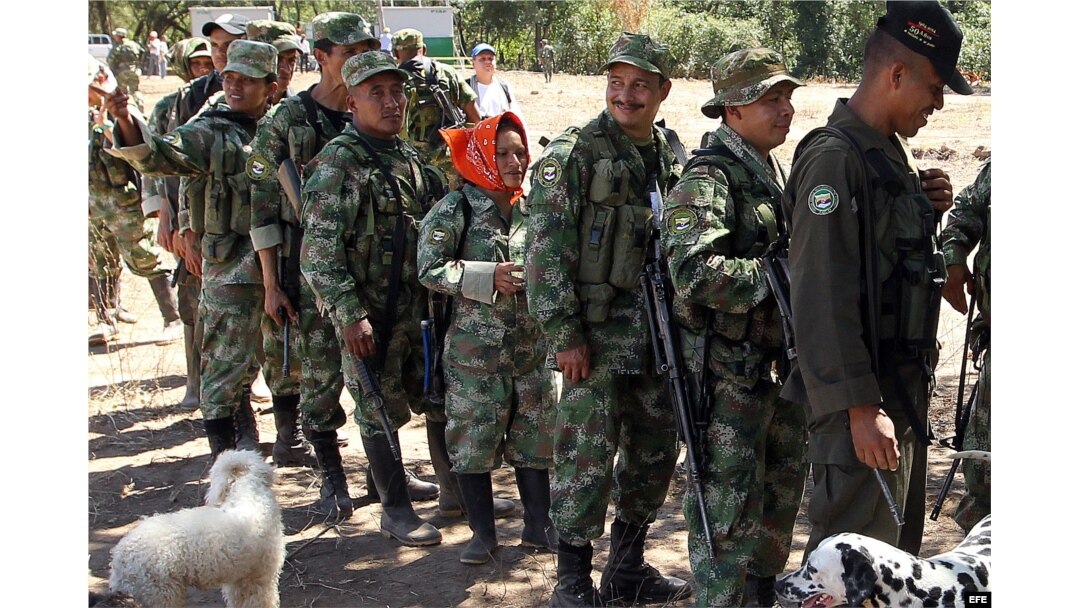 Las FARC es la guerrilla más antigua y numerosa de América, con casi 7.000 integrantes ahora concentrados en 26 puntos del país para dejar las armas.