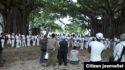 Reporta Cuba. Damas de Blanco, noviembre 30. Foto: Ángel Moya.